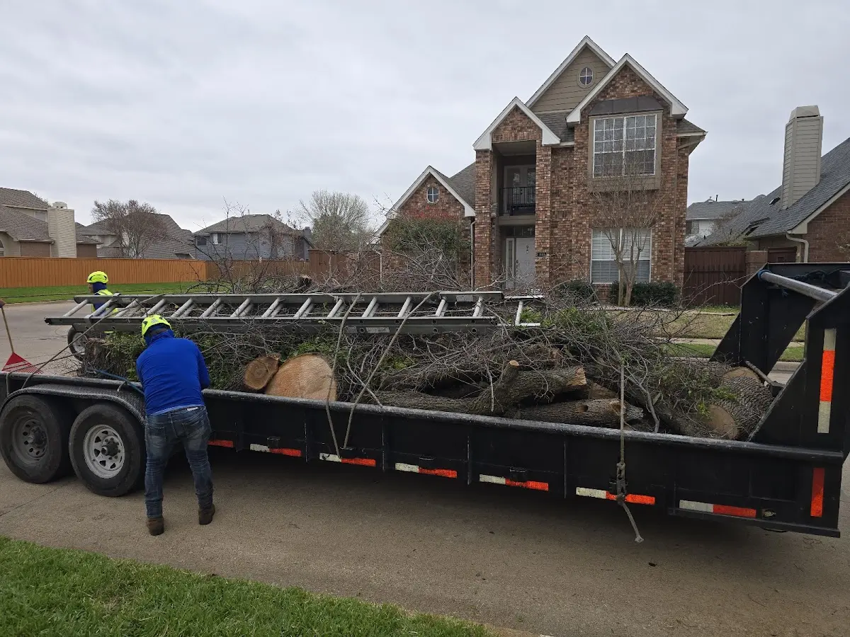 Expert Tree Removal with proper safety equipment in Valmeyer